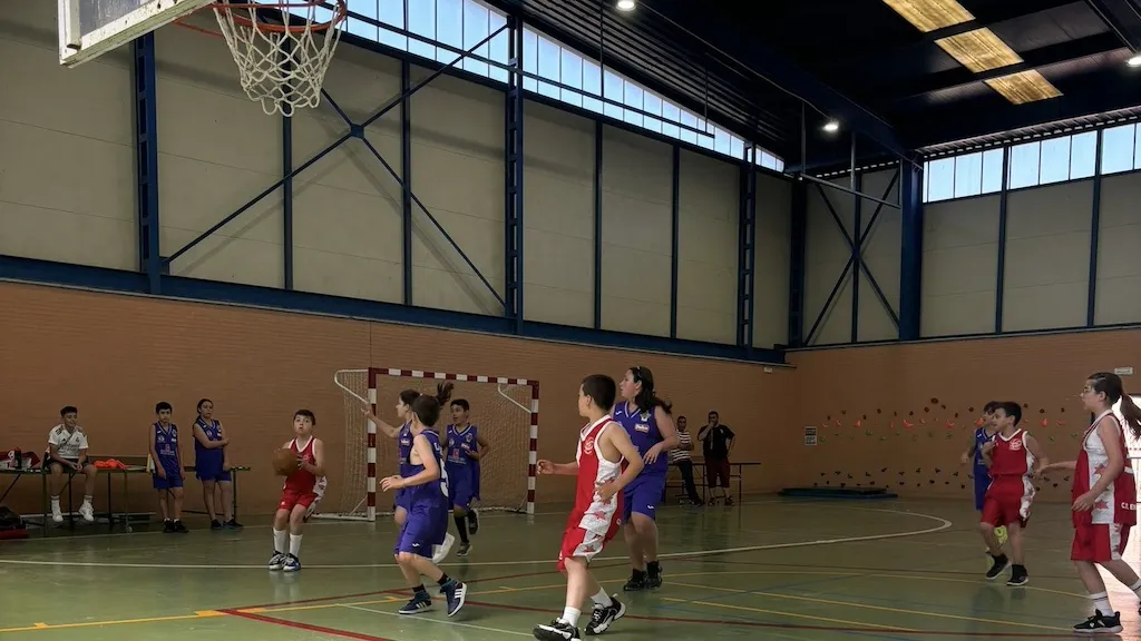 Escuela municipal de baloncesto