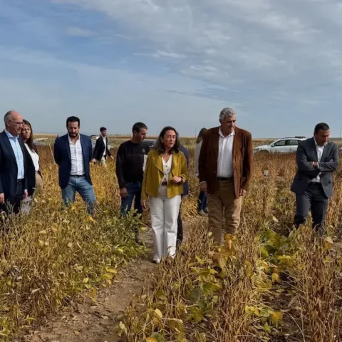 Visita Consejera a un campo de ensayo de soja en Arabayona de Mógica