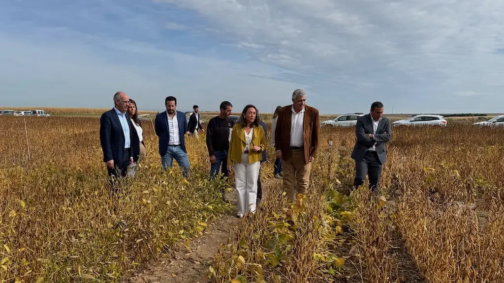 Visita Consejera a un campo de ensayo de soja en Arabayona de Mógica