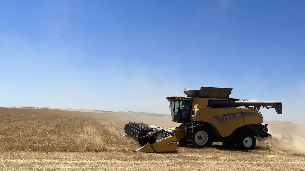 Una cosechadora de cereales en la comarca de Peñaranda