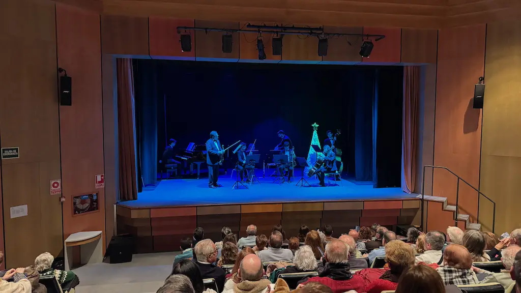 Concierto de Año Nuevo
