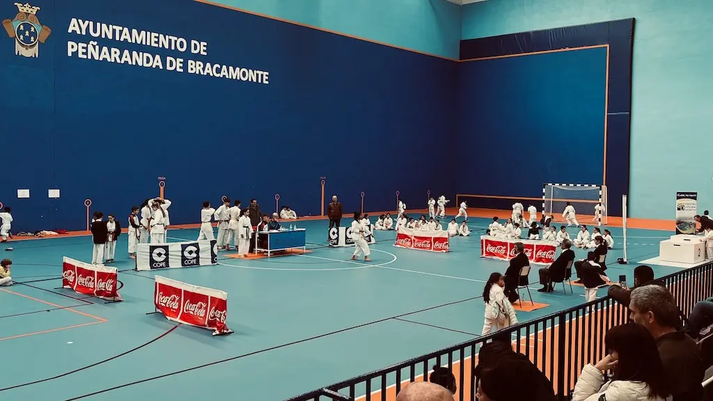 Open de karate