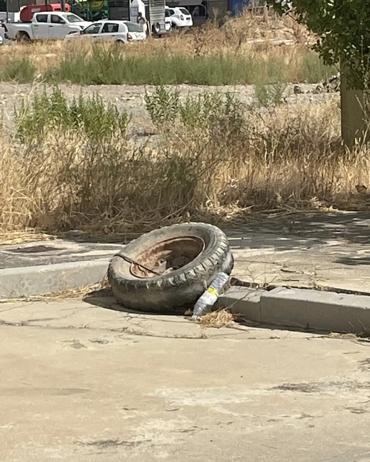 El PP pide al Ayuntamiento que mejore la organización del personal municipal