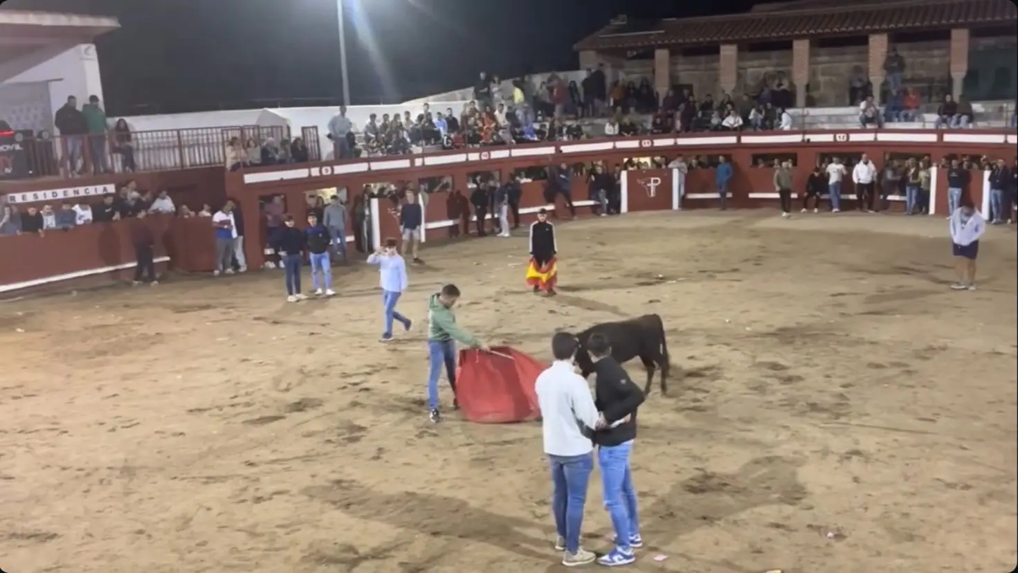 Verbena con vaquillas en Alaraz