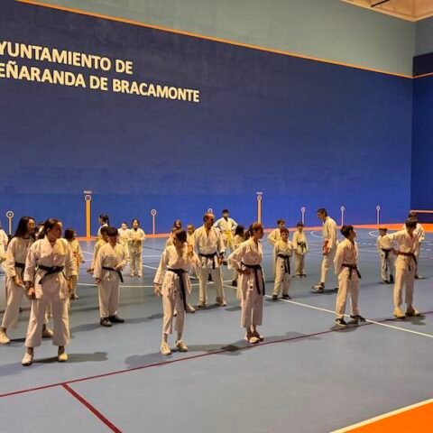 Exhibición de kárate en el pabellón.