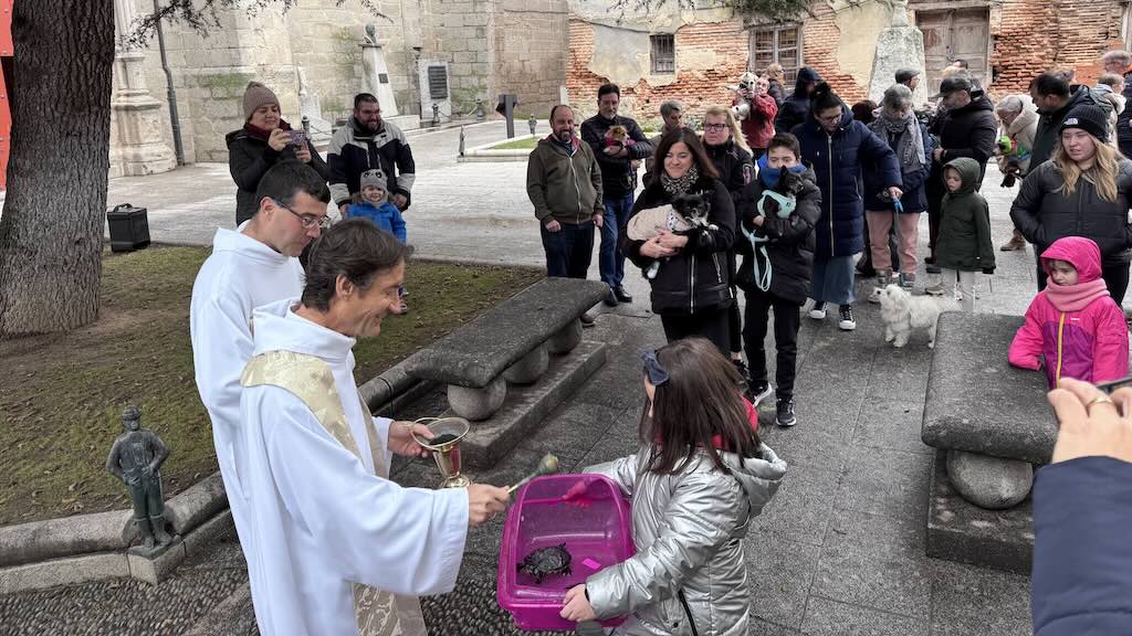 Bendición de San Antón en Peñaranda