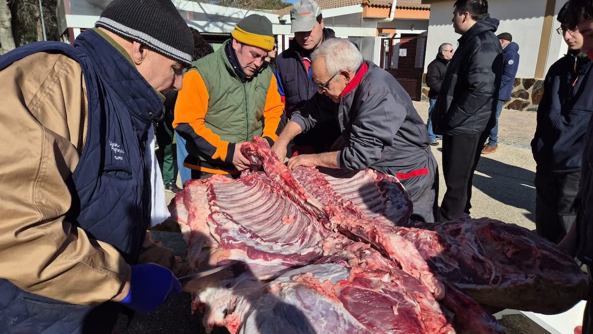 Rágama se une en torno a su fiesta de la matanza tradicional 3 178da3b4 bc74 453b 85e5 7bef1f621e57 2