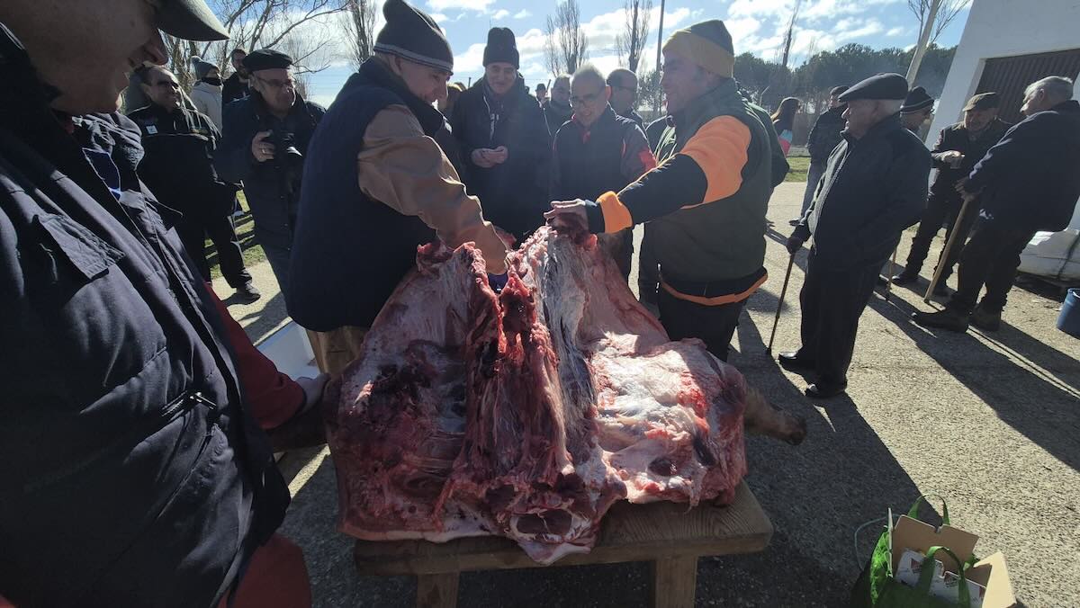 Rágama se une en torno a su fiesta de la matanza tradicional 5 1d6d3905 9288 46fb 8eb6 065e0785f001 2