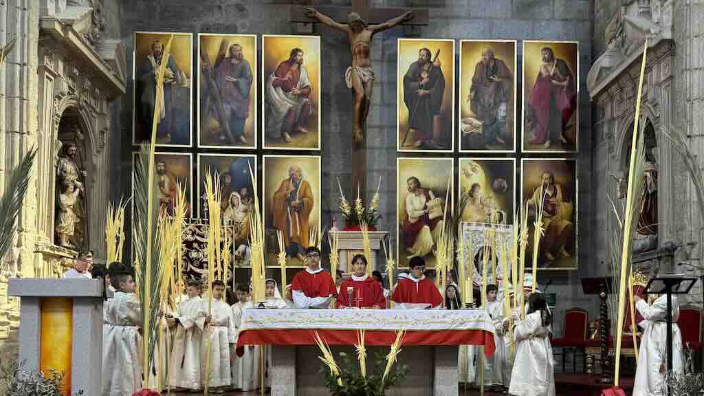 Un momento de la Misa del Domingo de Ramos en el inicio de la Semana Santa.