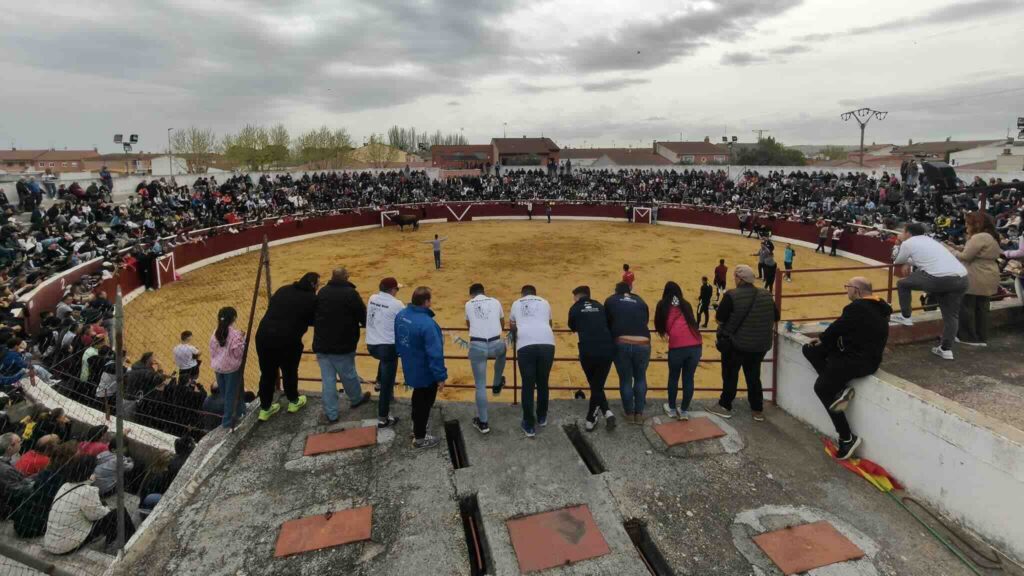 toro del voto en Villoria